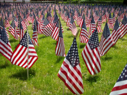 Field of flags.